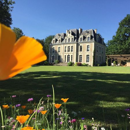 Chateau Des Essards Avec Piscine Et Jacuzzi Langeais Exteriér fotografie