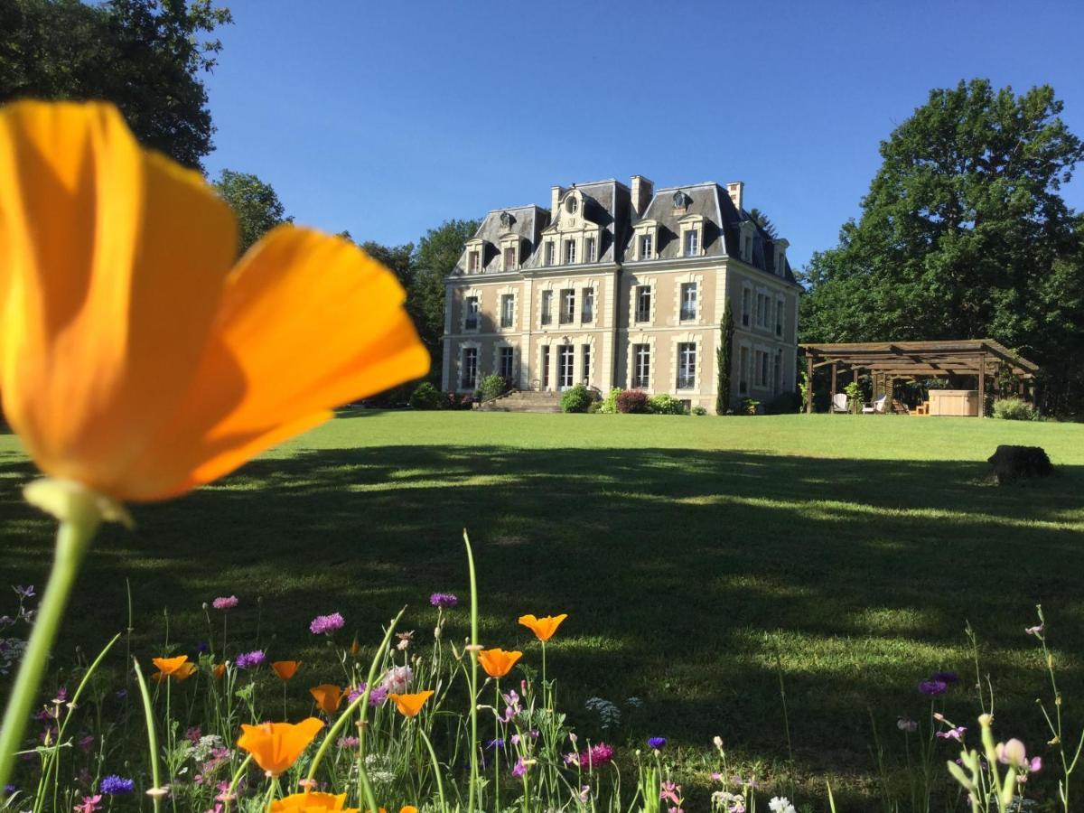 Chateau Des Essards Avec Piscine Et Jacuzzi Langeais Exteriér fotografie